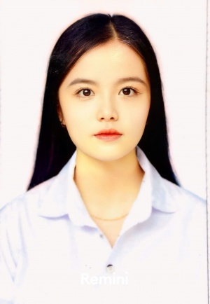 HỒ NGUYỄN TƯỜNG VI