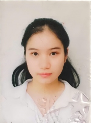 Hà Bích Trâm